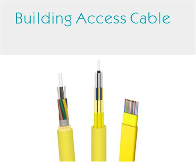 Building Access Cable