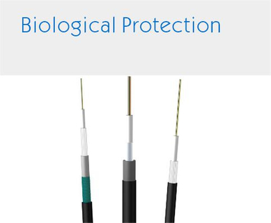 Biological Protection